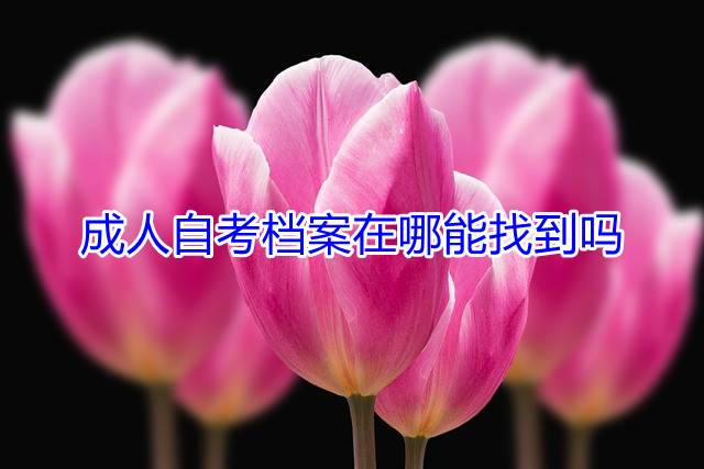 成人自考档案在哪能找到吗