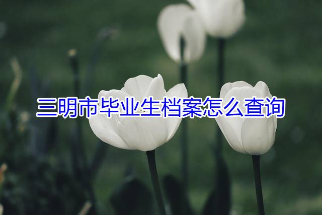 三明市毕业生档案怎么查询