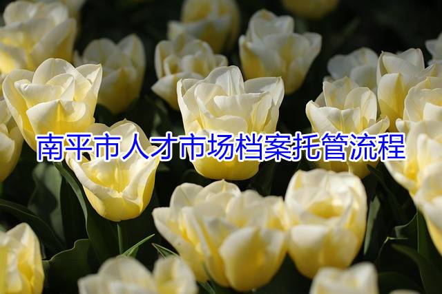 南平市人才市场档案托管流程