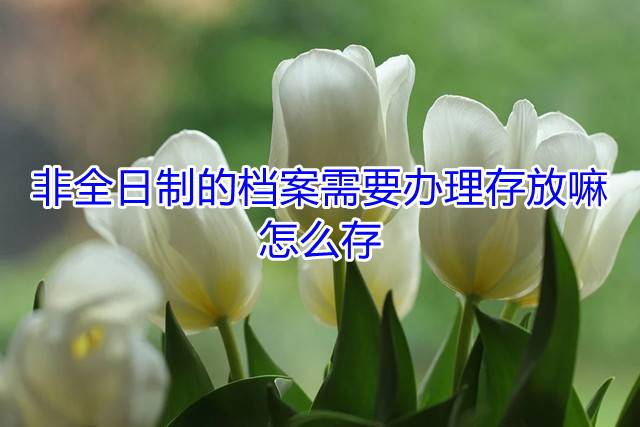 非全日制的档案需要办理存放嘛，怎么存