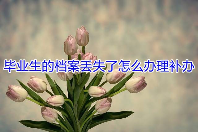 毕业生的档案丢失了怎么办理补办