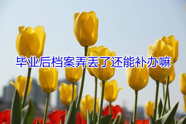 毕业后档案弄丢了还能补办嘛