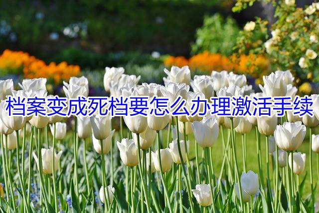 档案变成死档要怎么办理激活手续