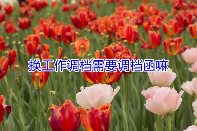 换工作调档需要调档函嘛