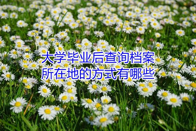 大学毕业后查询档案所在地的方式有哪些