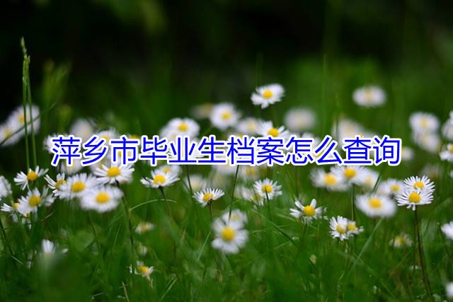 萍乡市毕业生档案怎么查询