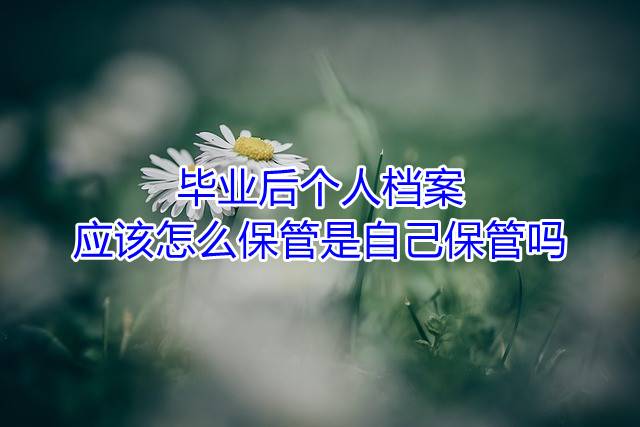毕业后个人档案应该怎么保管是自己保管吗