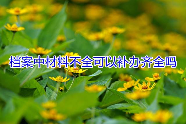 档案中材料不全可以补办齐全吗
