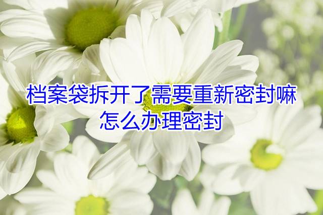 档案袋拆开了需要重新密封嘛，怎么办理密封