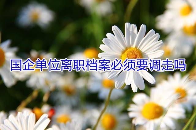 国企单位离职档案必须要调走吗