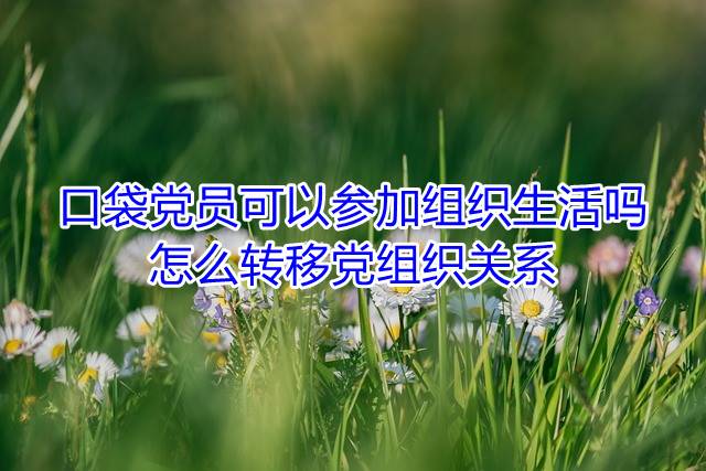 口袋党员可以参加组织生活吗，怎么转移党组织关系