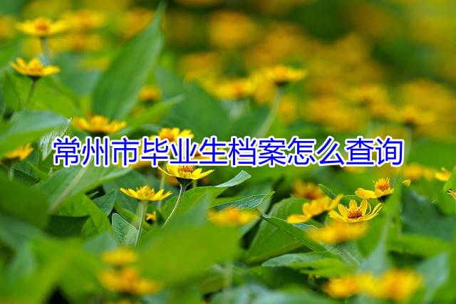 常州市毕业生档案怎么查询