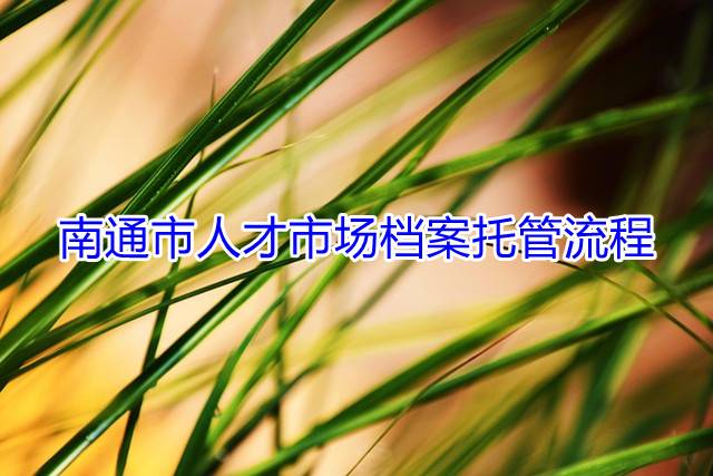 南通市人才市场档案托管流程
