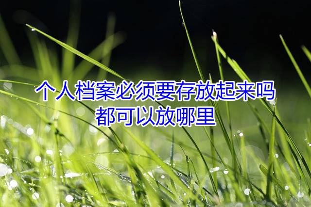 个人档案必须要存放起来吗，都可以放哪里