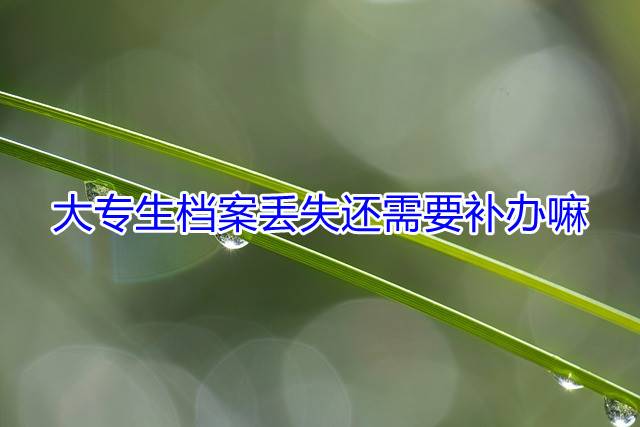 大专生档案丢失还需要补办嘛