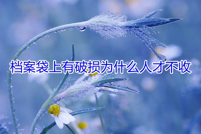 档案袋上有破损为什么人才不收