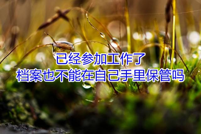 已经参加工作了，档案也不能在自己手里保管吗