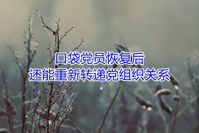口袋党员恢复后，还能重新转递党组织关系