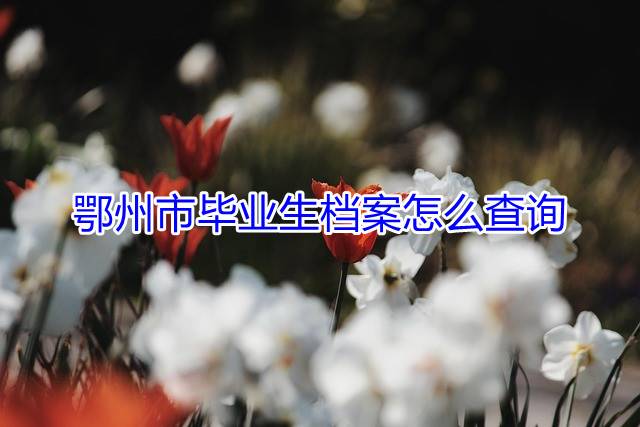 鄂州市毕业生档案怎么查询