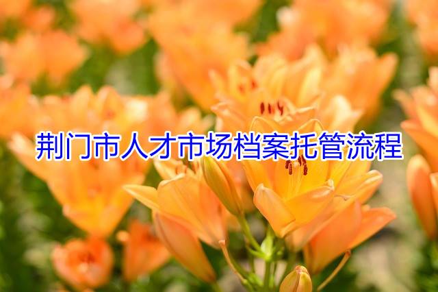 荆门市人才市场档案托管流程