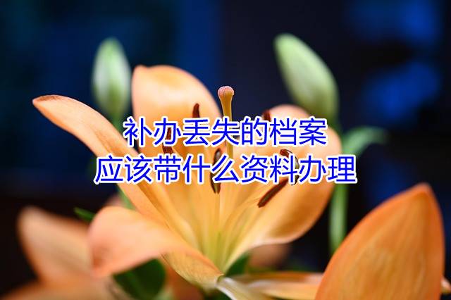 补办丢失的档案应该带什么资料办理