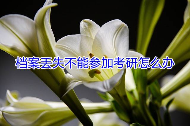 档案丢失不能参加考研怎么办