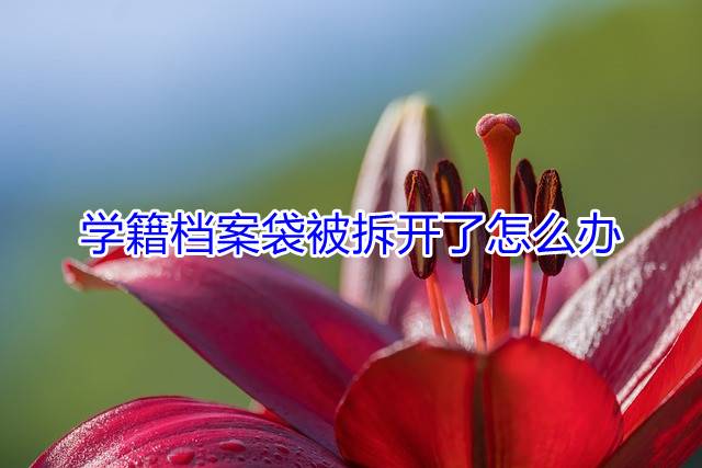 学籍档案袋被拆开了怎么办