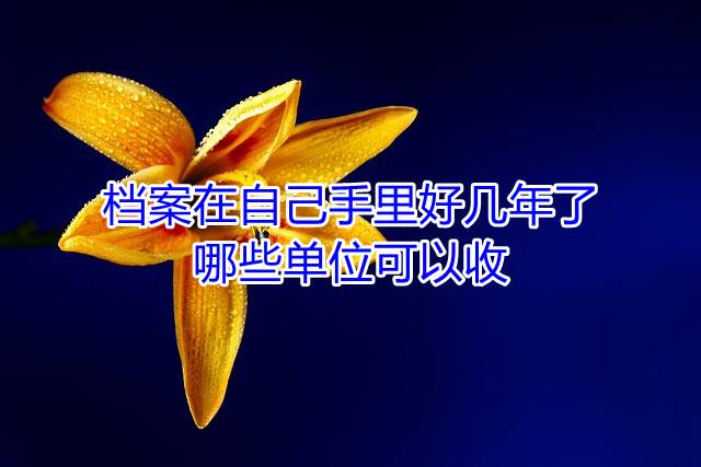 档案在自己手里好几年了，哪些单位可以收