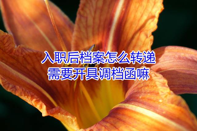 入职后档案怎么转递，需要开具调档函嘛