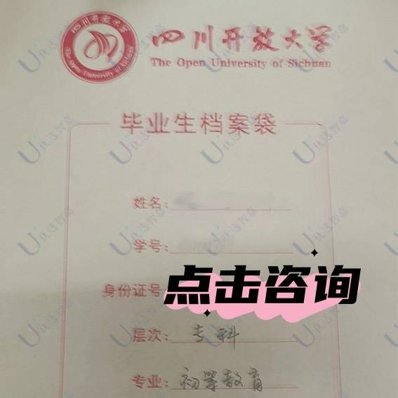 成教毕业档案发放到个人手里能存人才市场吗，流程是什么