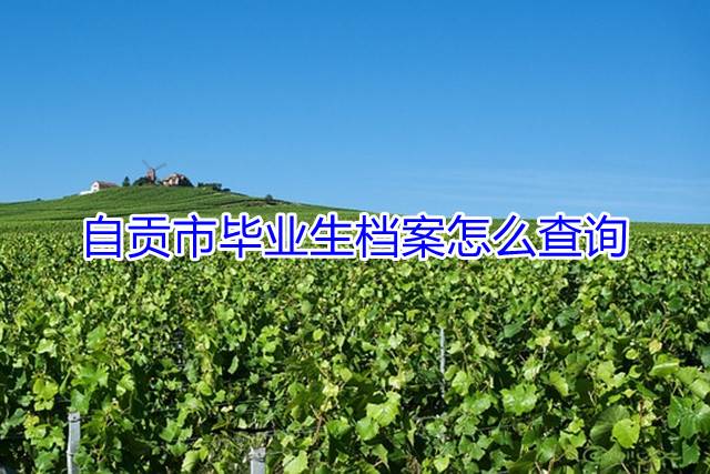 自贡市毕业生档案怎么查询