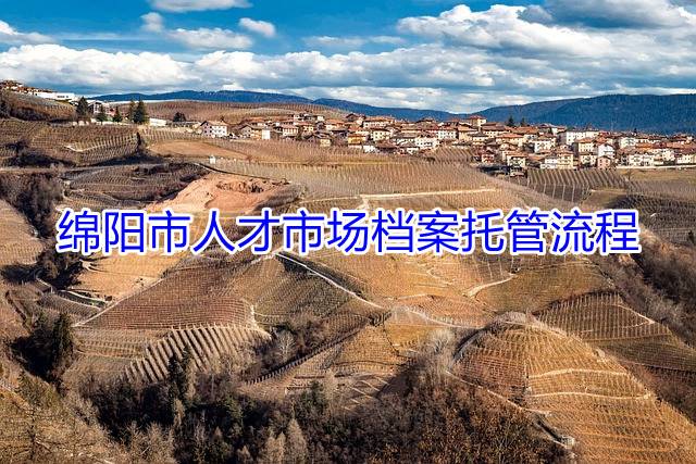 绵阳市人才市场档案托管流程