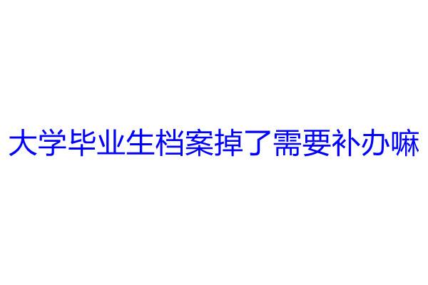 大学毕业生档案掉了需要补办嘛