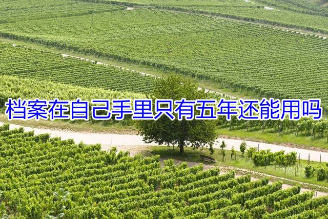 档案在自己手里只有五年还能用吗
