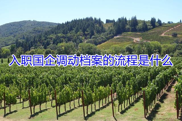 入职国企调动档案的流程是什么