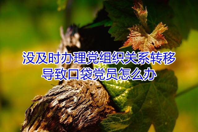 没及时办理党组织关系转移导致口袋党员怎么办