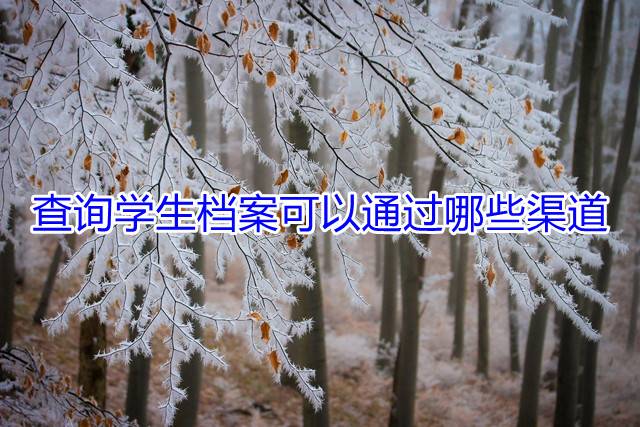 查询学生档案可以通过哪些渠道