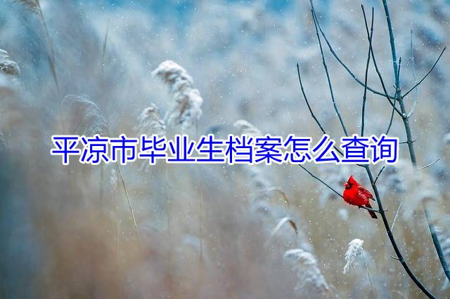 平凉市毕业生档案怎么查询