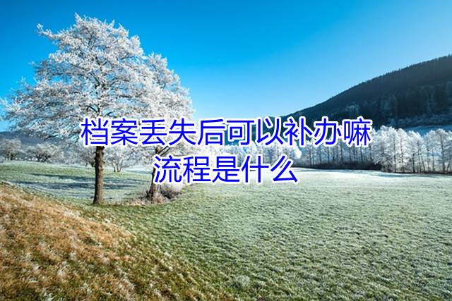 档案丢失后可以补办嘛，流程是什么