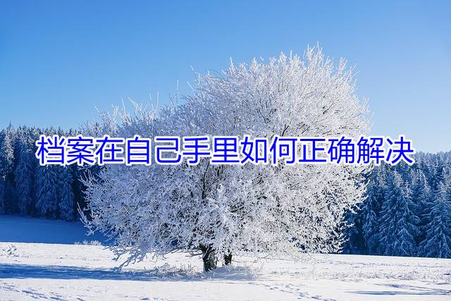档案在自己手里如何正确解决