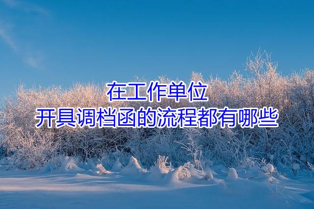 在工作单位开具调档函的流程都有哪些