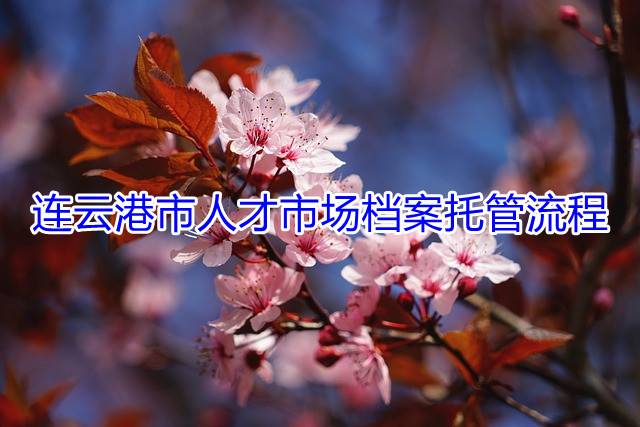 连云港市人才市场档案托管流程