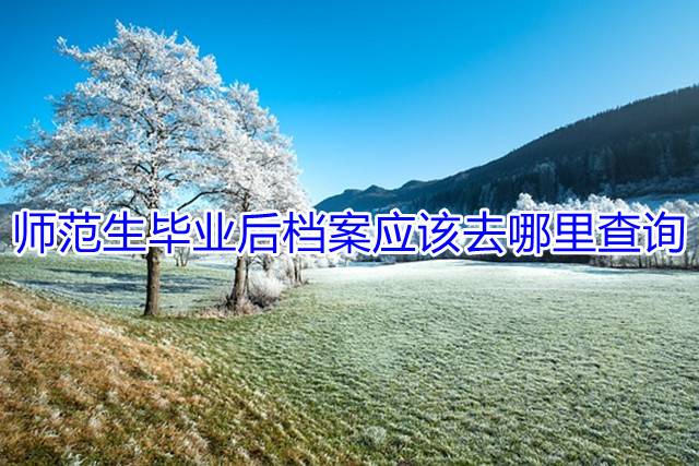 师范生毕业后档案应该去哪里查询
