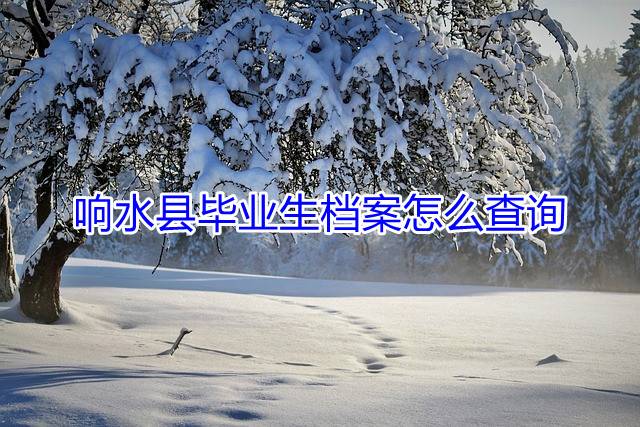 响水县毕业生档案怎么查询