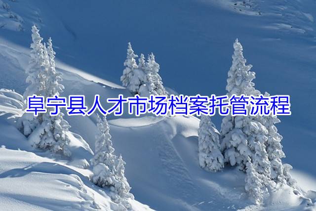 阜宁县人才市场档案托管流程