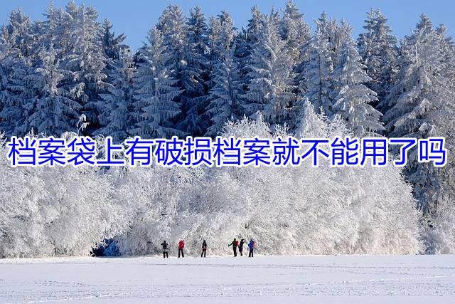 档案袋上有破损档案就不能用了吗