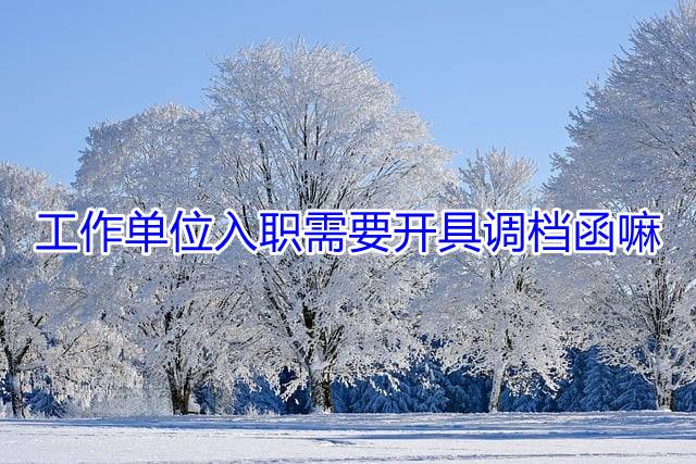 工作单位入职需要开具调档函嘛