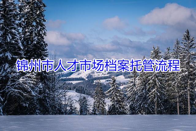 锦州市人才市场档案托管流程