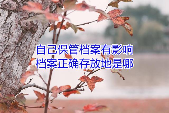 自己保管档案有影响，档案正确存放地是哪