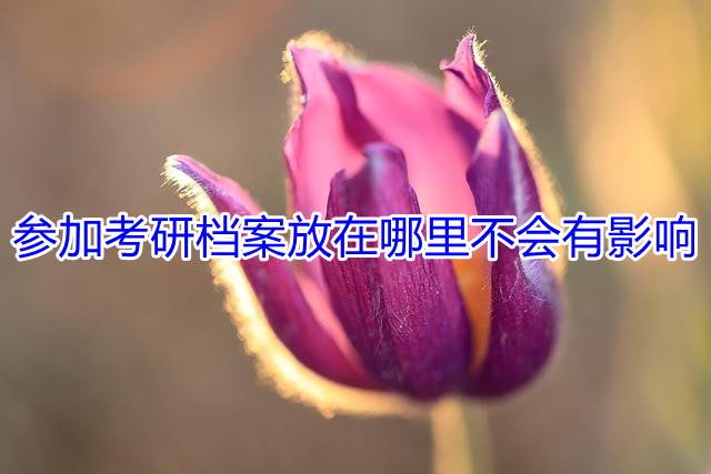 参加考研档案放在哪里不会有影响